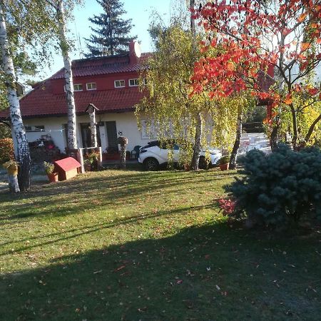 布兰卡别墅酒店 Horní Podkozí 外观 照片