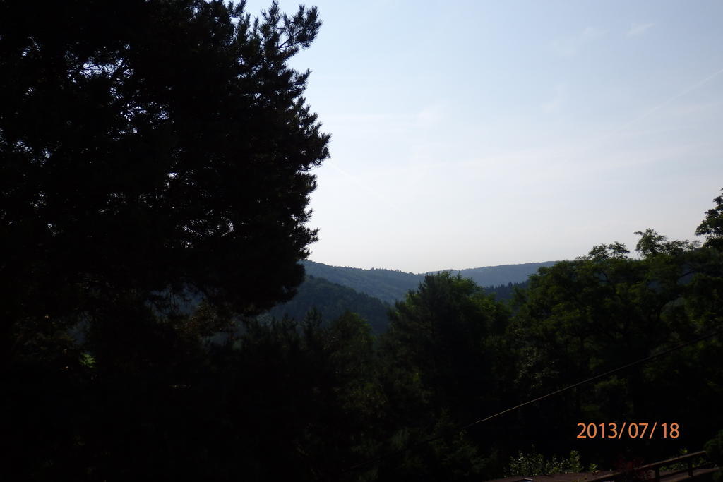 布兰卡别墅酒店 Horní Podkozí 外观 照片