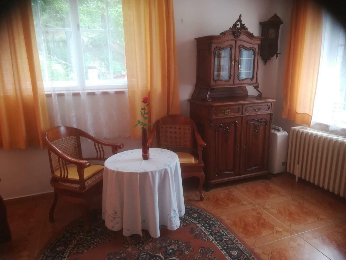 布兰卡别墅酒店 Horní Podkozí 外观 照片