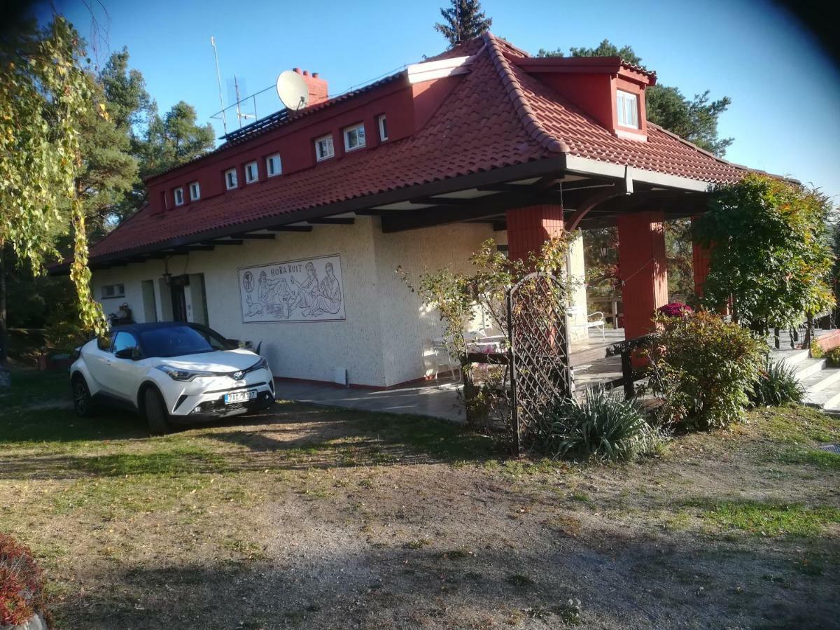 布兰卡别墅酒店 Horní Podkozí 外观 照片